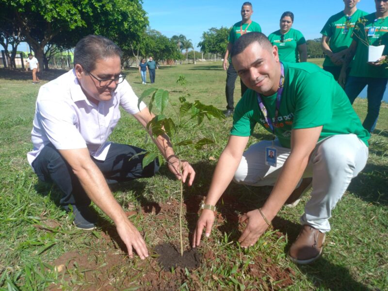 Grupo Pereira: Dono das redes Comper e Fort celebra marco ambiental com 100 mil mudas doadas a novos colaboradores no “Batismo Verde”