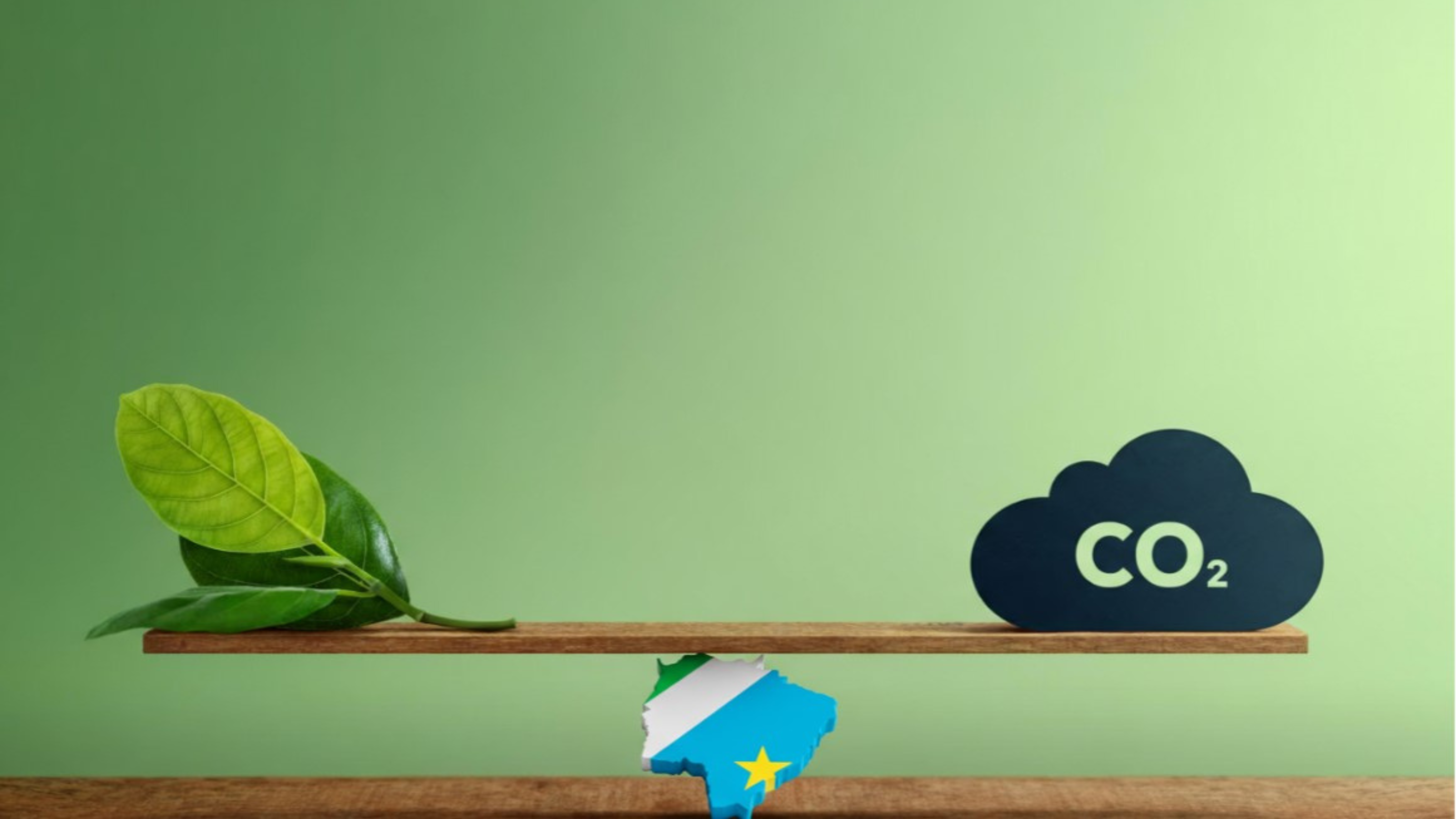 A virada do carbono: Mato Grosso do Sul se posiciona para liderar a corrida climática no Brasil
