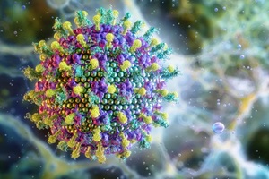 Fiocruz atua na preparação do SUS para eventual resposta ao vírus Nipah