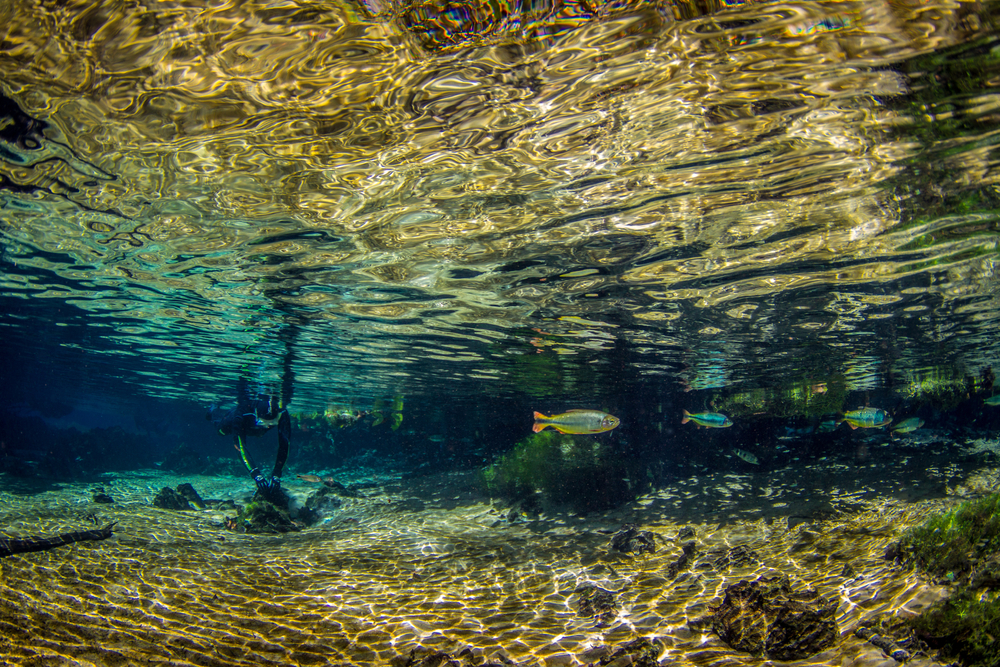 Bonito recebe evento nacional de ecoturismo em maio