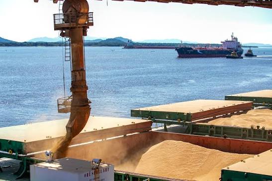 Exportações de MS crescem 12,8% e superam US$ 7,2 bilhões até julho